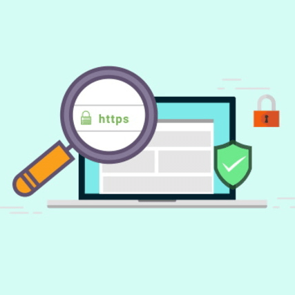 https-WP